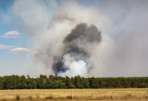 ¿Qué franja debemos mantener limpia de árboles y maleza respecto a las viviendas por prevención de incendios en Galicia?