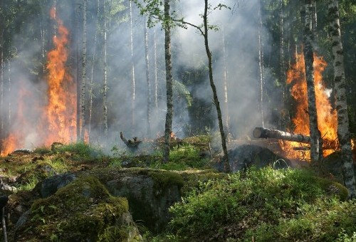 Campaña prevención de incendios 2021